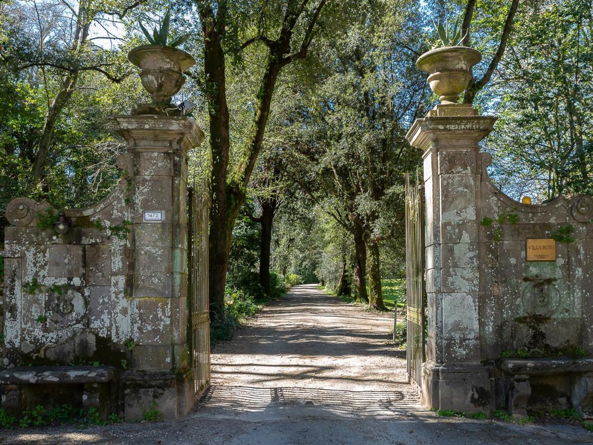 New! La Stanza In Villa Lucca Buitenkant foto